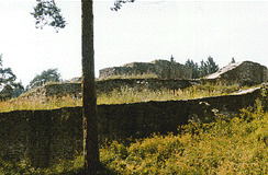 zcenina Kozho hrdku