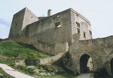 hradn palc